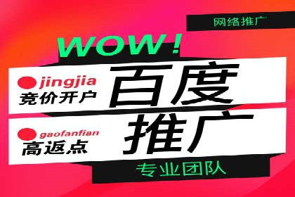 成功SEM服务案例：优化广告投放